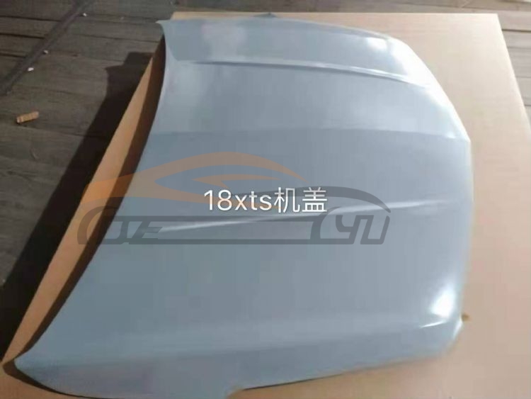 For CADILLAC SERIES 2018XTS HOOD