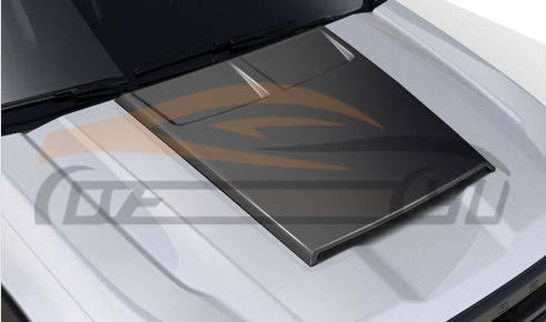 For CHEVROLET SERIES 2015-17 COLORADO HOOD